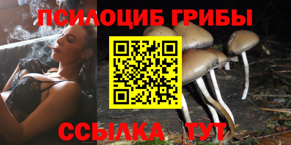 Галлюциногенные грибы ЛСД Сыктывкар