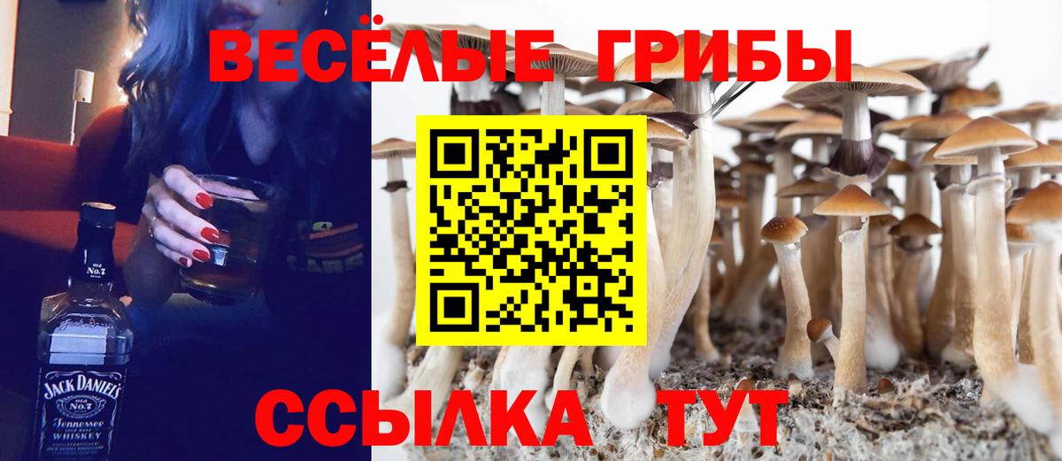 магазин    Вход с VPN  Сыктывкар  Псилоцибиновые грибы мухоморы  Псилоцибиновые грибы мицелий 